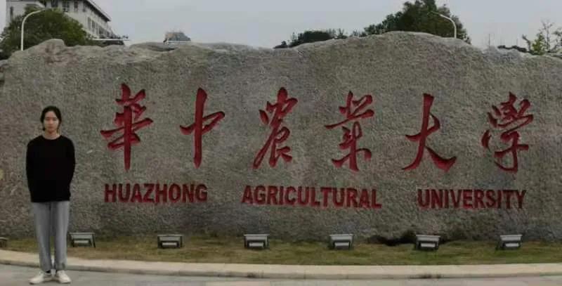 ob欧宝电竞·(中国)官方网站入口