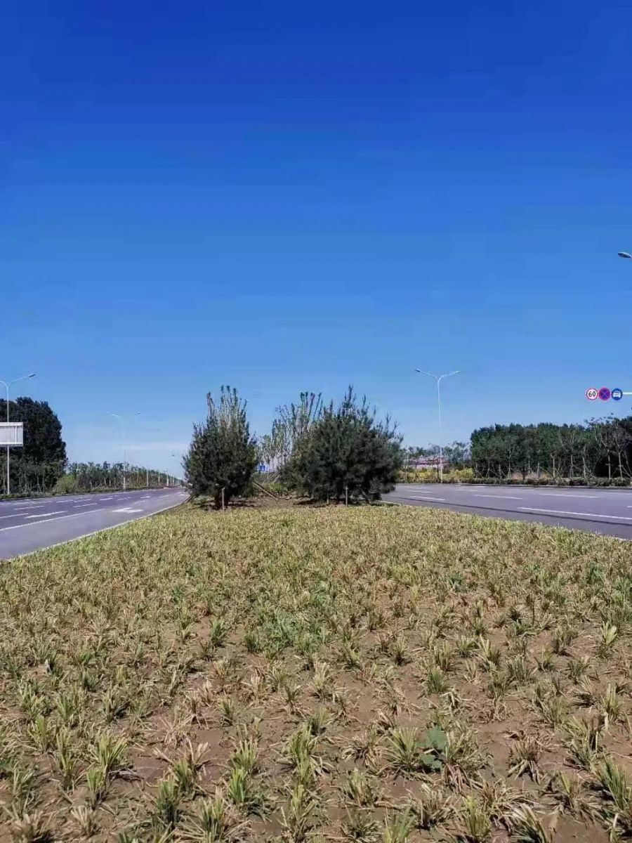 ob欧宝电竞·(中国)官方网站入口